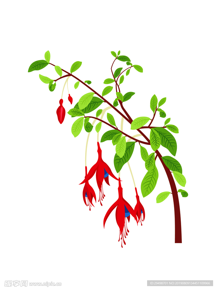花