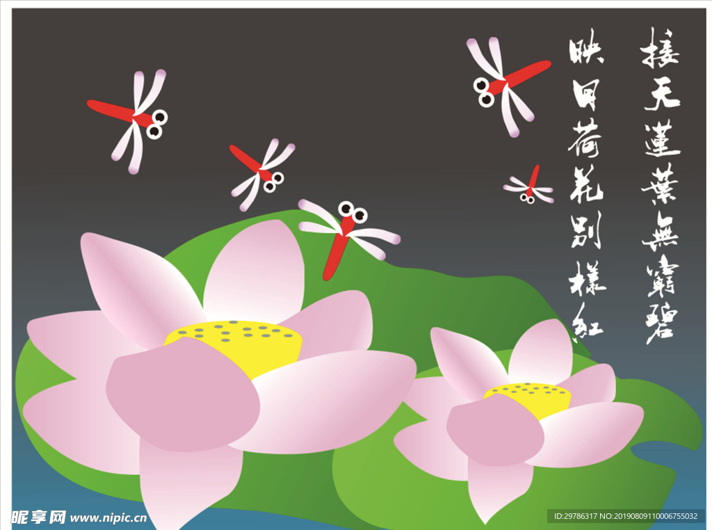 荷花
