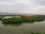 沙湖景  风景 湖景  沙漠