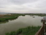 沙湖景  风景 湖景  沙漠