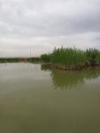 沙湖景  风景 湖景  沙漠