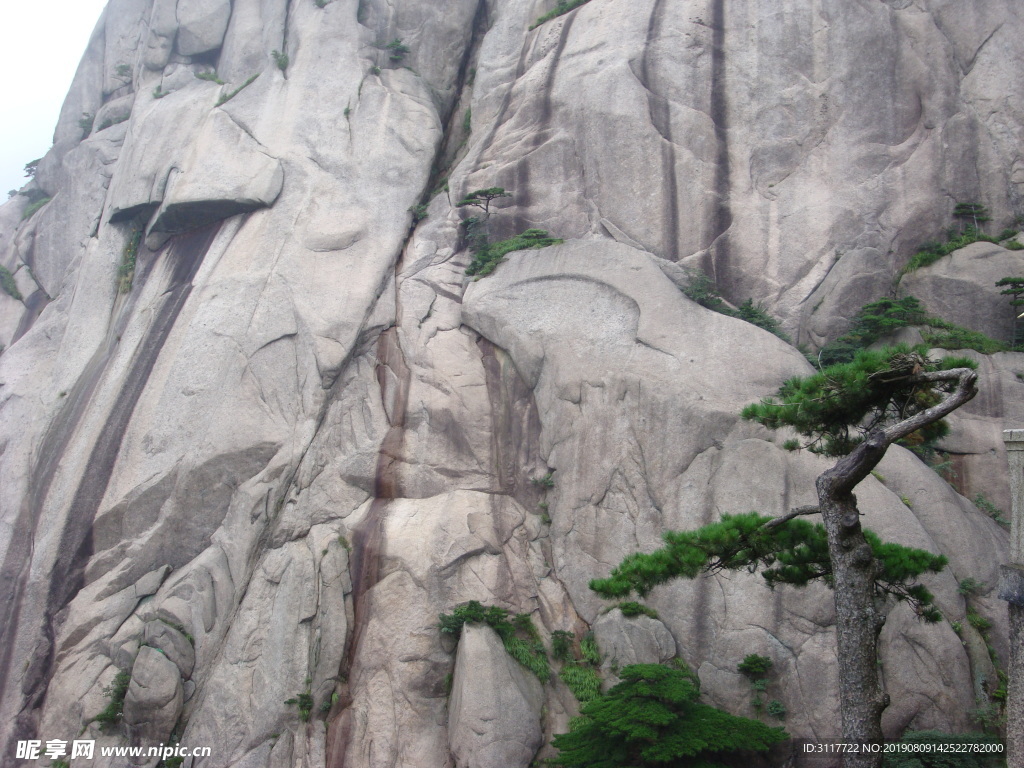 黄山风景 山石 群山 云海