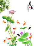 荷花鱼