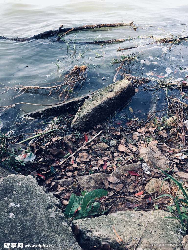 湖边 石头 湖水