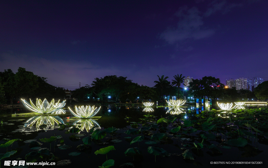 深圳洪湖公园夜景