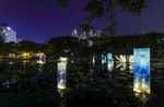 深圳洪湖公园夜景