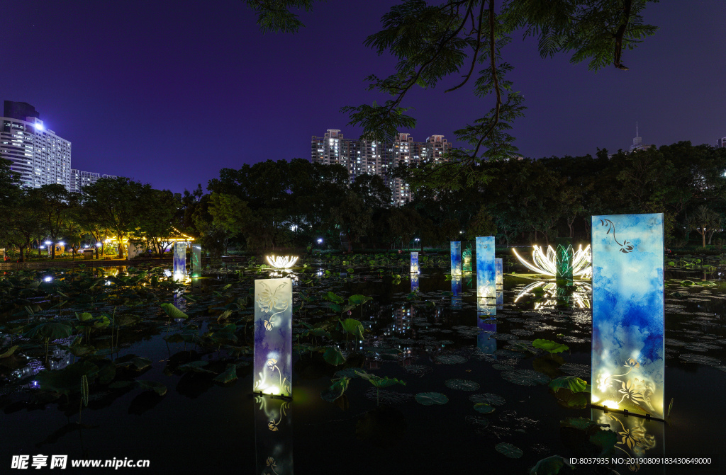 深圳洪湖公园夜景