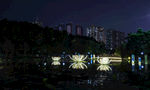 深圳洪湖公园夜景