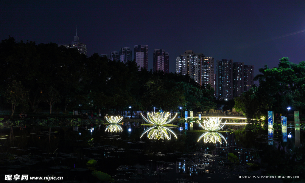 深圳洪湖公园夜景