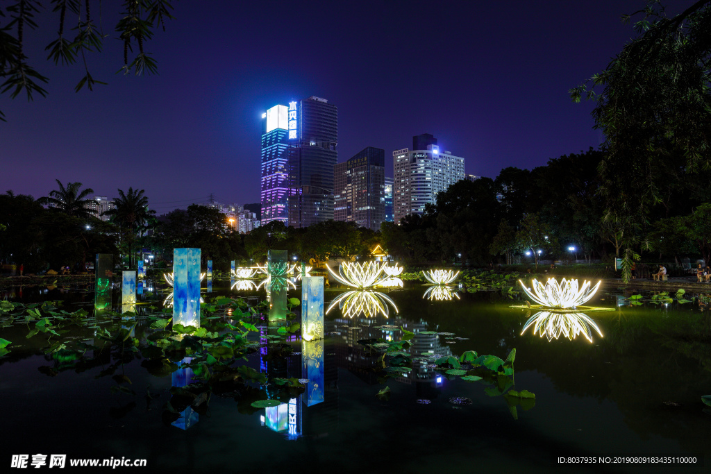 深圳洪湖公园夜景