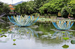 深圳洪湖公园