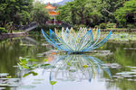 莲花灯