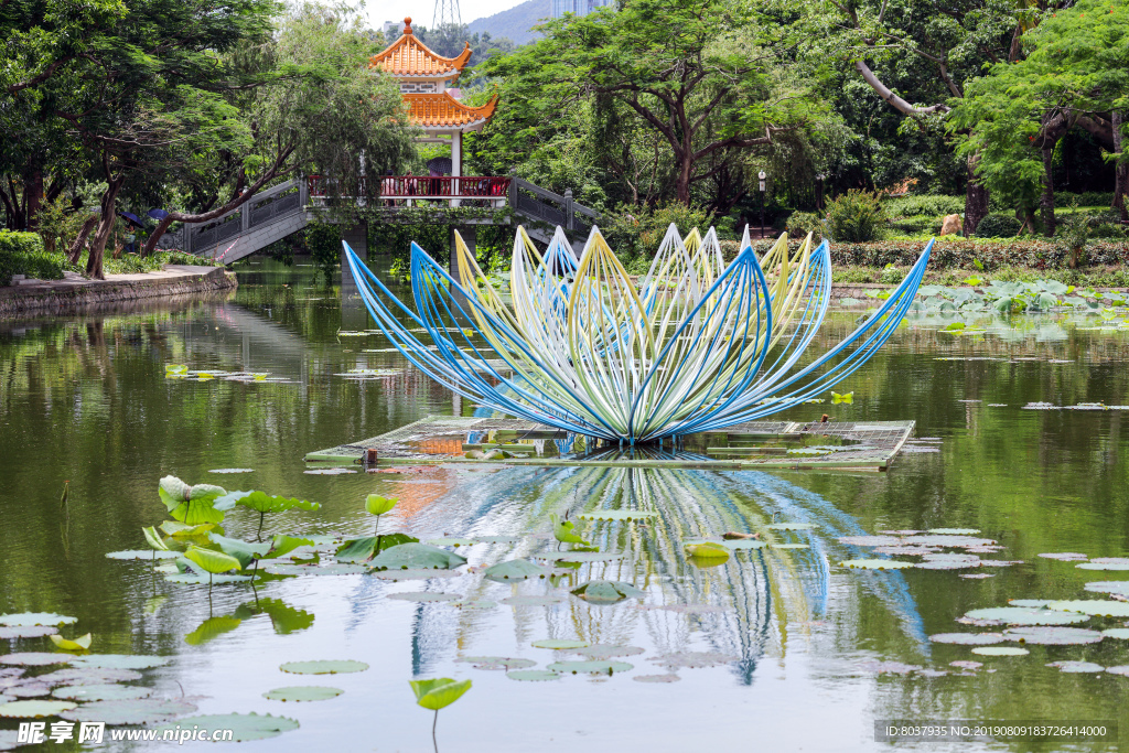 莲花灯