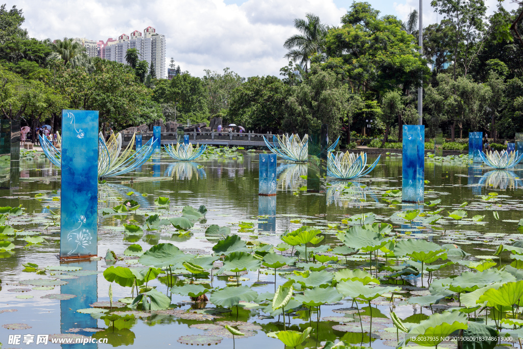 深圳洪湖公园