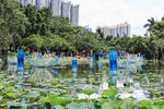 深圳洪湖公园