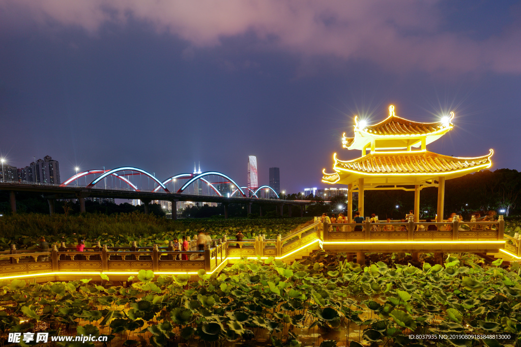 深圳洪湖公园夜景