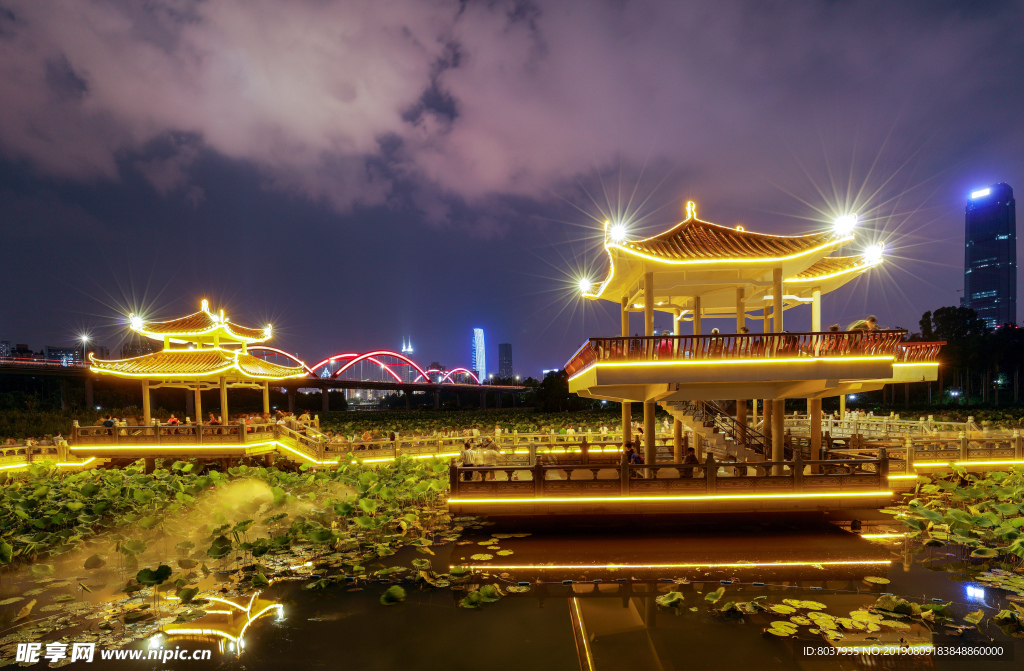 深圳洪湖公园夜景