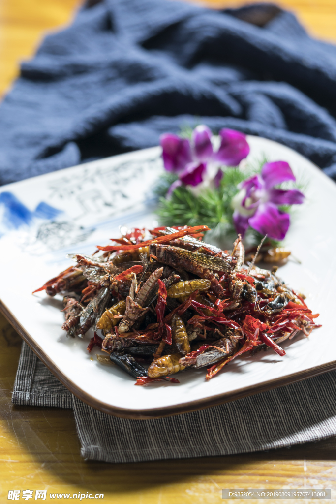昆虫汇