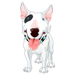 狗
