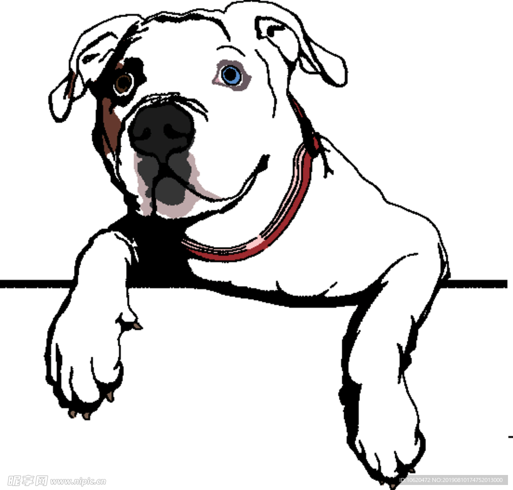 狗