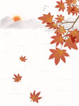 枫叶背景