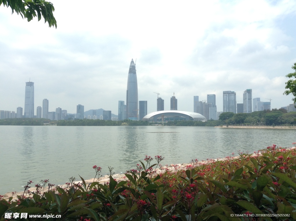 深圳湾风景