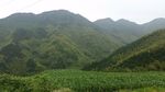 大山