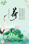 荷花清晰图