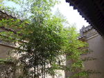 古建筑