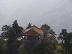 塔