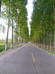 路