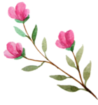 鲜花