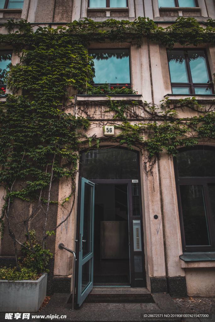 建筑 植物