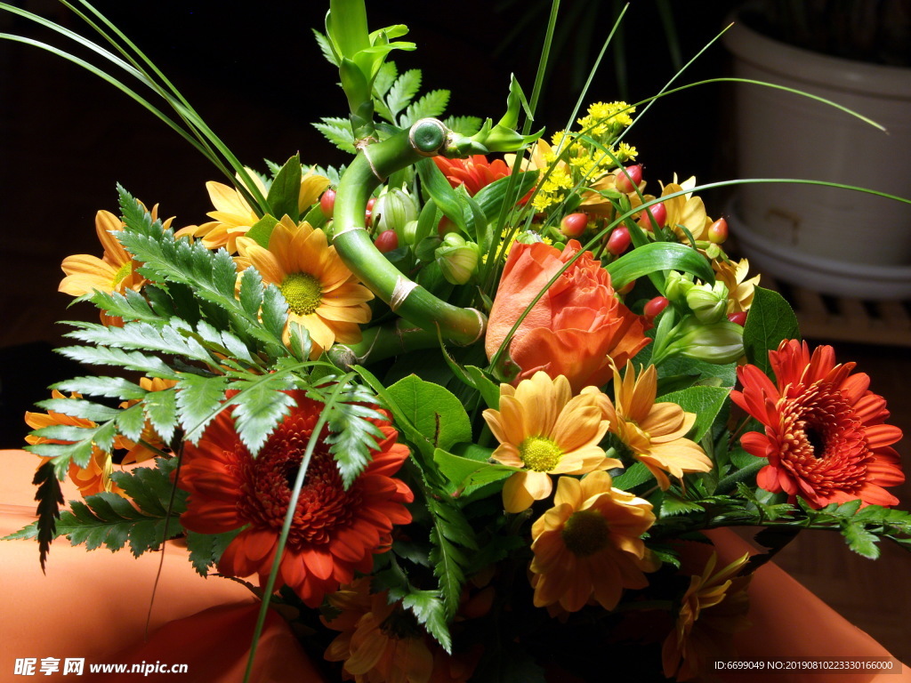 植物花卉