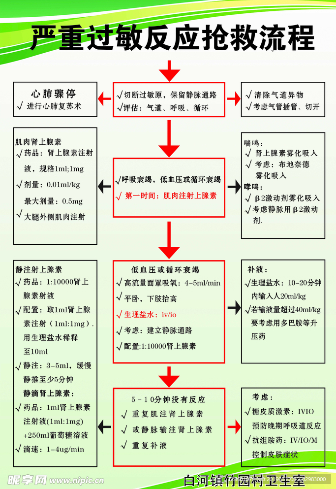 过敏性休克 休克抢救流程 休克