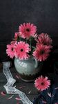 鲜花