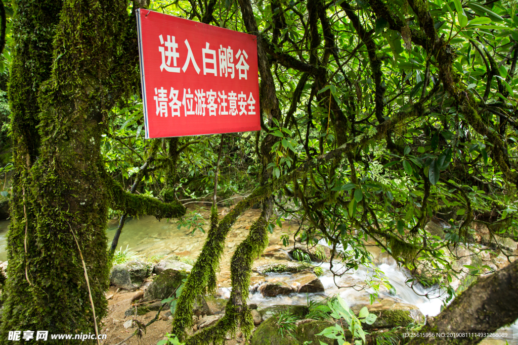 炎陵白鹇谷