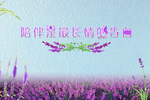 陪伴是最长情的告白