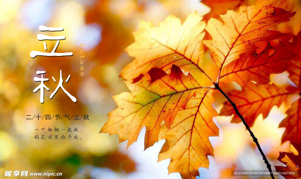立秋