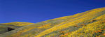 风景 全景图 大海 国外 山