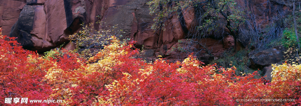 风景 全景图 大海 国外 山