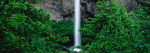 风景 全景图 大海 国外 山