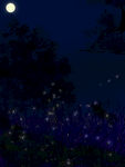 夏夜