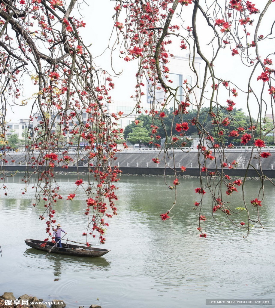 江中小景