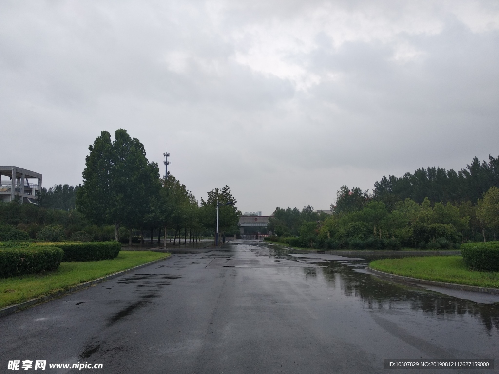 雨后 校园 草坪 花池 草地