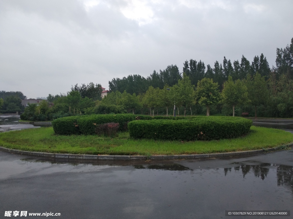 雨后 校园 草坪 花池 草地