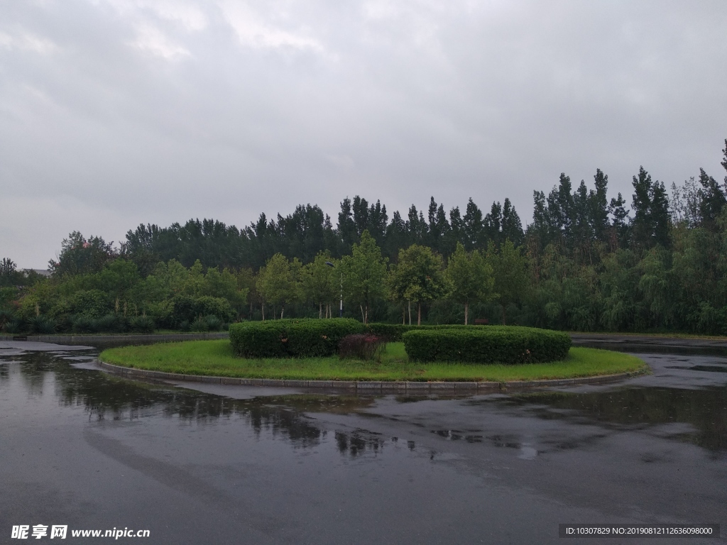 雨后 校园 草坪 花池 草地