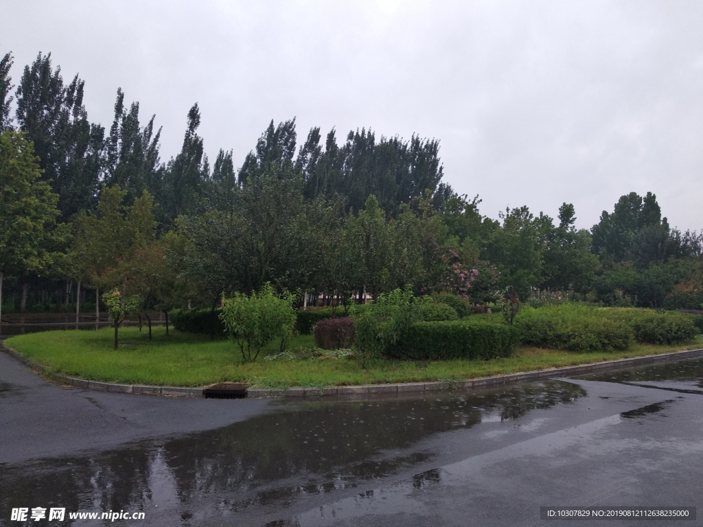 雨后 校园 草坪 花池 草地