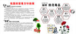 我国的禁毒方针政策
