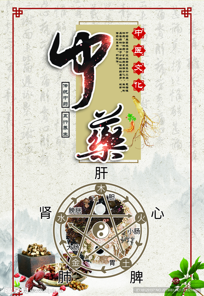 中药展板